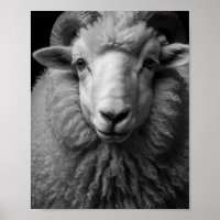 Mouton noir et blanc - Œuvre d'art murale