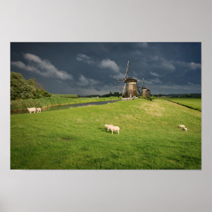 Poster Moutons avec moulins à vent sous des nuages sombre