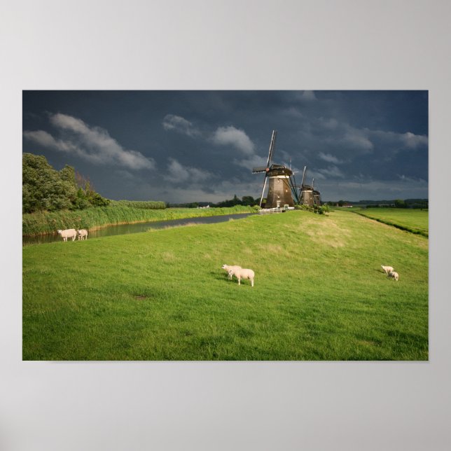 Poster Moutons avec moulins à vent sous des nuages sombre (Devant)