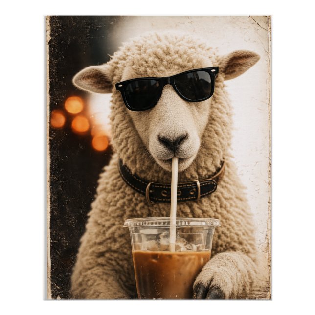 Poster Moutons cools buvant du café glacé (Devant)