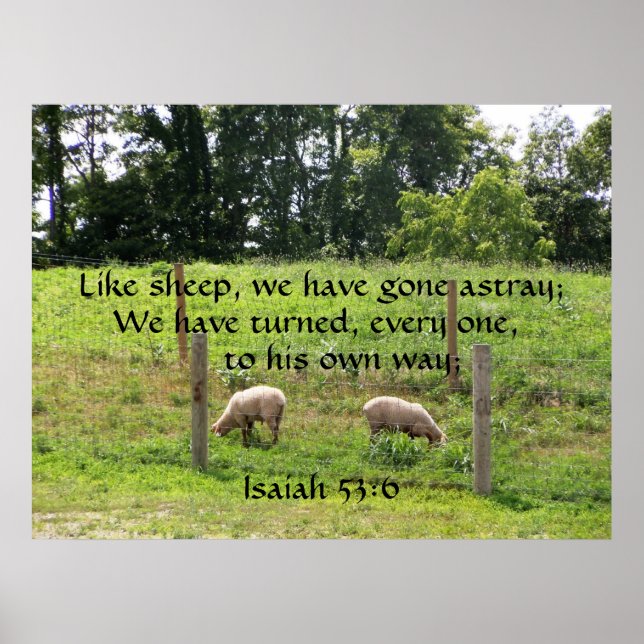 Poster Moutons dans le pâturage avec écriture Imprimer (Devant)