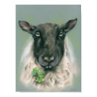 Moutons Whimsical avec Shamrocks