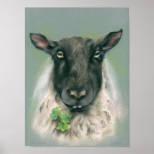 Poster Moutons Whimsical avec Shamrocks