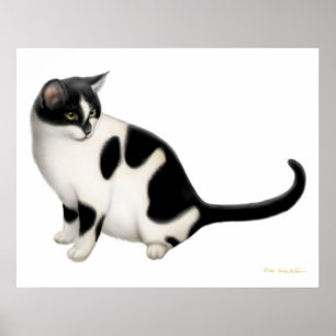 Poster Moxie la copie de chat de smoking