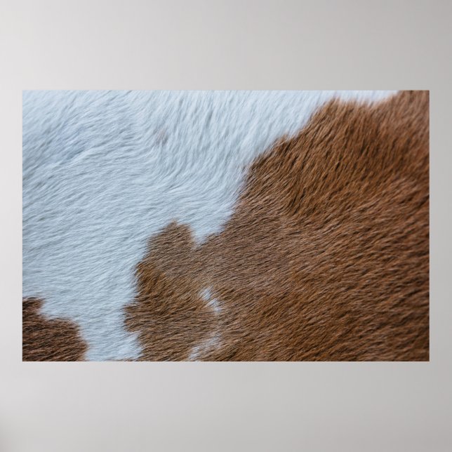 Poster Moyen-siècle (Devant)