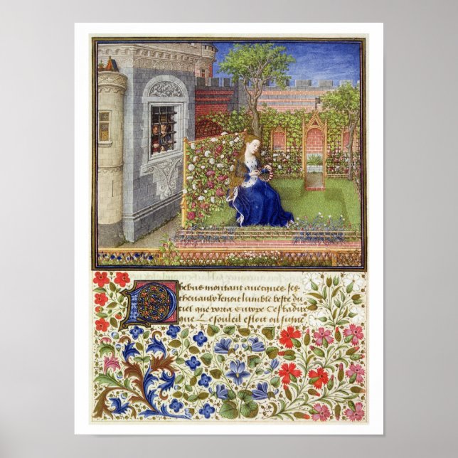 Poster Ms 2617 Emilia dans son jardin, Plaque 22, de 'La  (Devant)