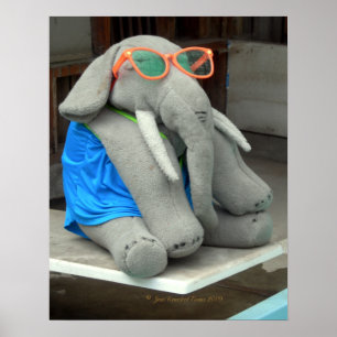 Poster Ms Ella goes to the pool