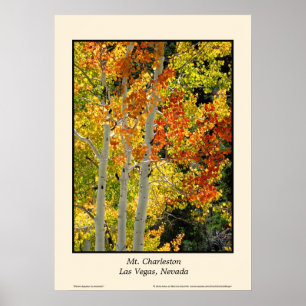 Poster Mt. Charleston NV Automne Couleur d'automne Aspen 