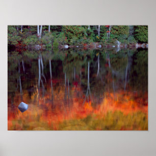 Poster Mt. Desert Island   Parc national Acadia, Maine