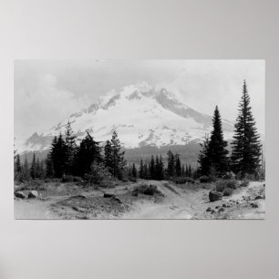 Poster Mt. Hood Vue du camp du gouvernement Photo