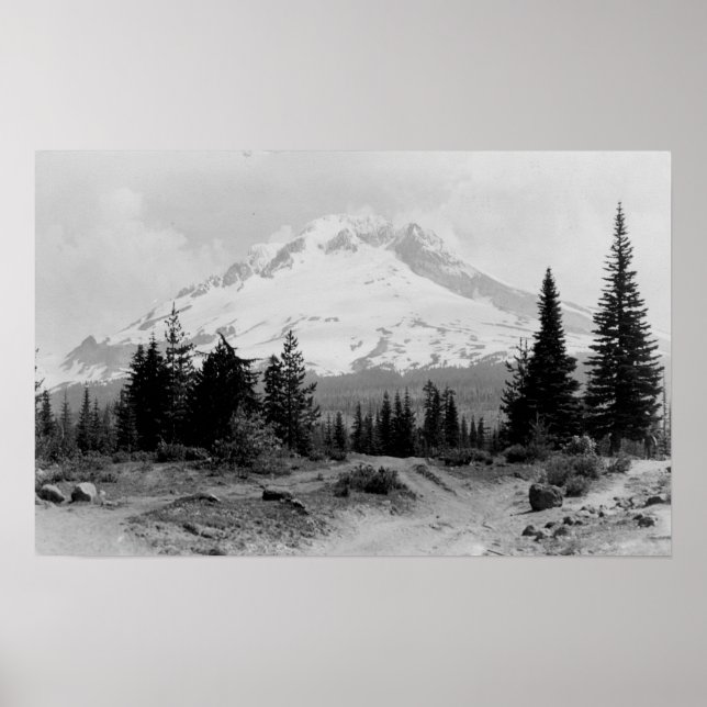 Poster Mt. Hood Vue du camp du gouvernement Photo (Devant)