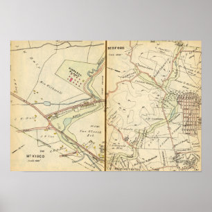 Poster Mt. Kisco, New York 2