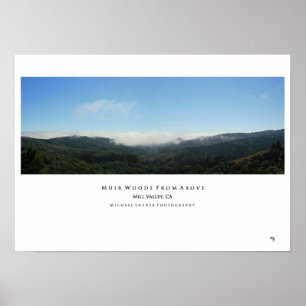Poster "Muir Woods d'en haut"