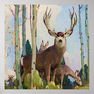 Poster « Mule Deer Buck et Doe » par W Herbert Dunton