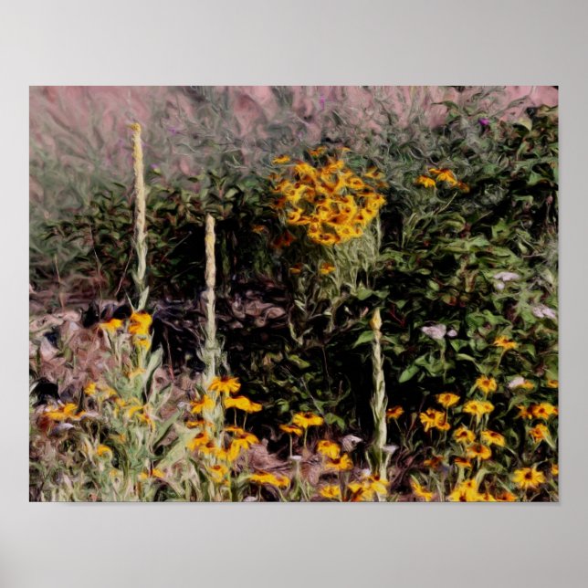 Poster Mulleins Black Eyed Susan Flowers (Devant)