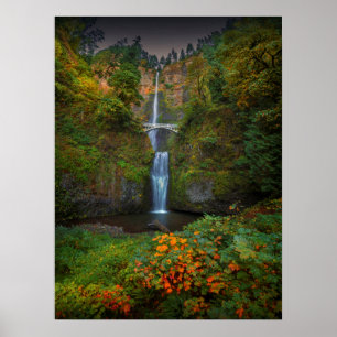 Poster Multnomah Falls Columbia River Gorge, Oregon