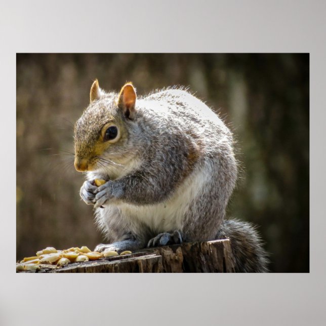 Poster Munchies (Devant)