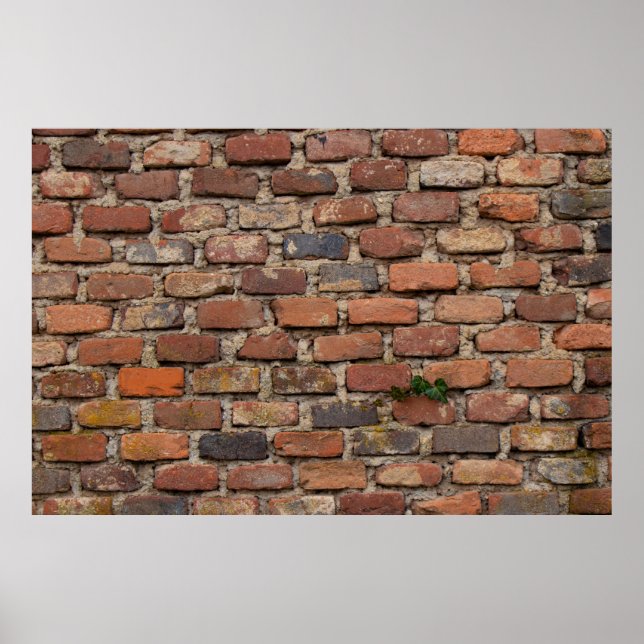 Poster Mur Brown en brique (Devant)