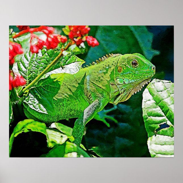 Poster Mur d'art Iguana pour la décoration. (Devant)