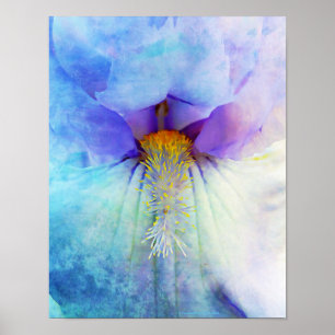 Poster Mur d'art photographique à fleurs Iris