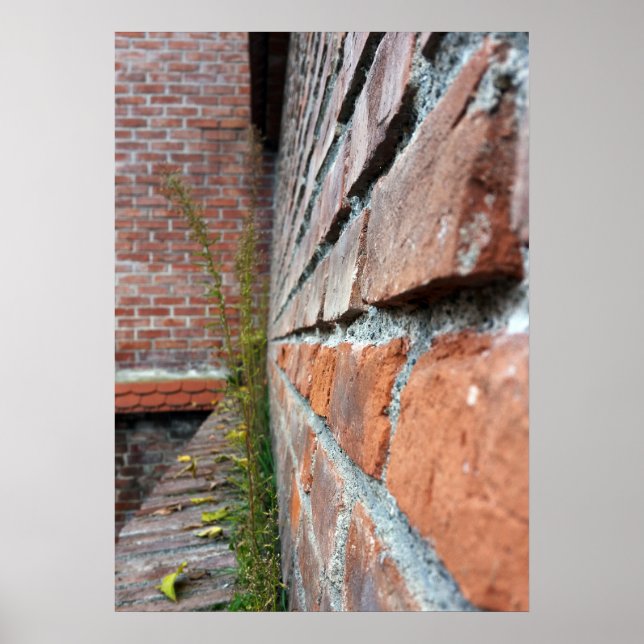 Poster mur de la vieille ville (Devant)