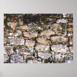Poster Mur de ruines mayas