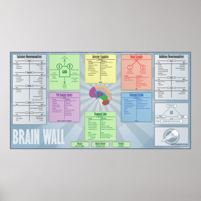 Poster Mur du cerveau (Devant)