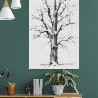 Poster mur du royaume des glaces
