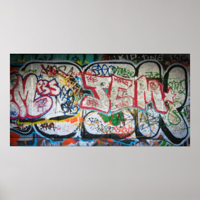 Poster Mur Graffiti (Devant)