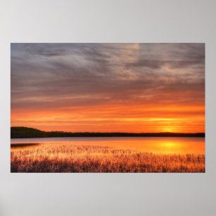 Poster mural 36x24