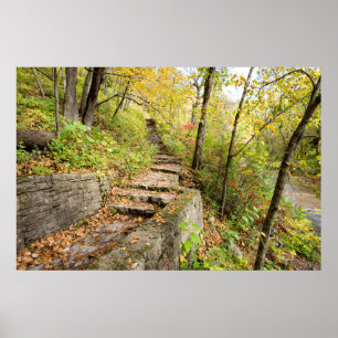 Poster mural 36x24