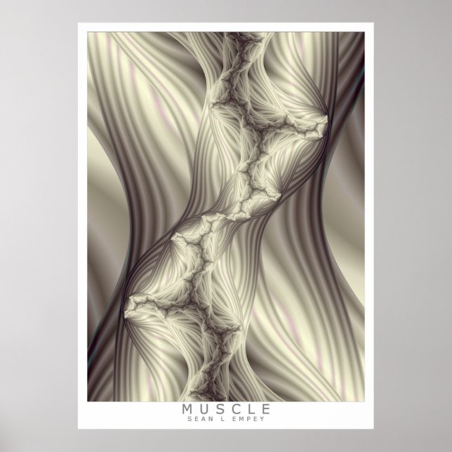 POSTER MUSCLE (Devant)