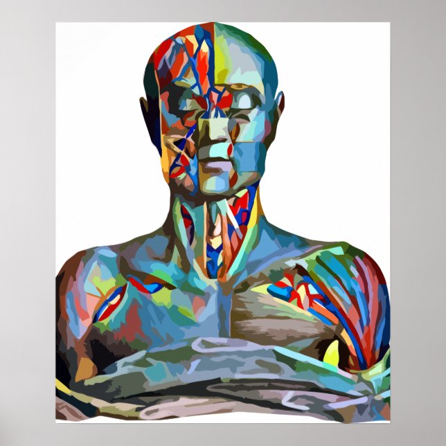 Poster Muscle Anatomie Homme Colorful Art Abstrait (Devant)