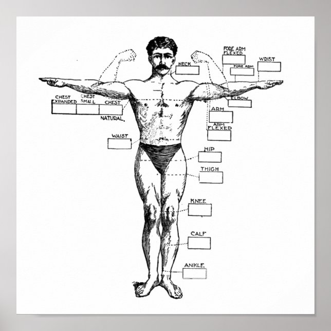 Poster Muscleman vintage de 1905 (Devant)