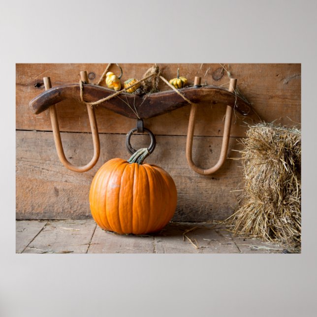 Poster Musée des Agriculteurs. Citrouille en grange avec  (Devant)