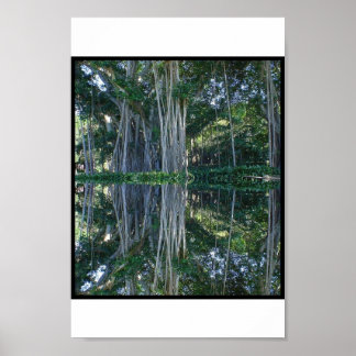 Poster Musée des anneaux Banyan Trees