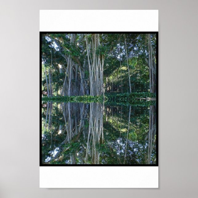 Poster Musée des anneaux Banyan Trees (Devant)