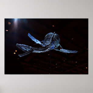 Poster Musée des sciences naturelles de Houston