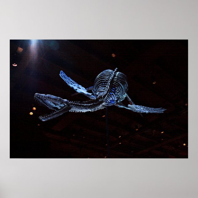 Poster Musée des sciences naturelles de Houston (Devant)