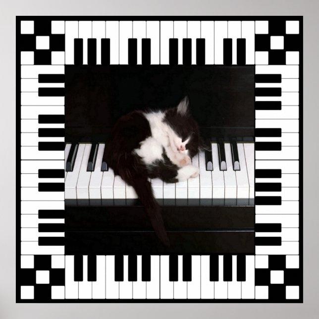 Poster musical du sommeil (Devant)