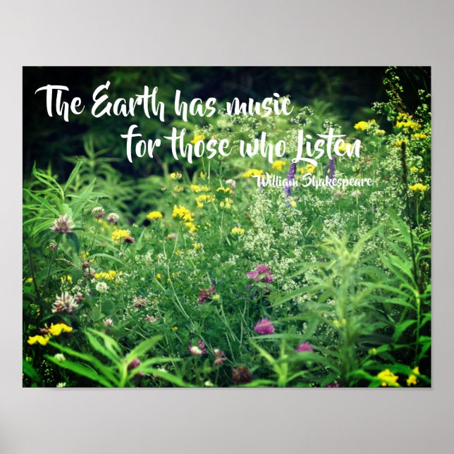 Poster Musique De La Nature Citation Inspirationnelle (Devant)