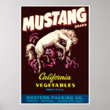 Mustang Cheval sauvage Guadalupe Californie Légume