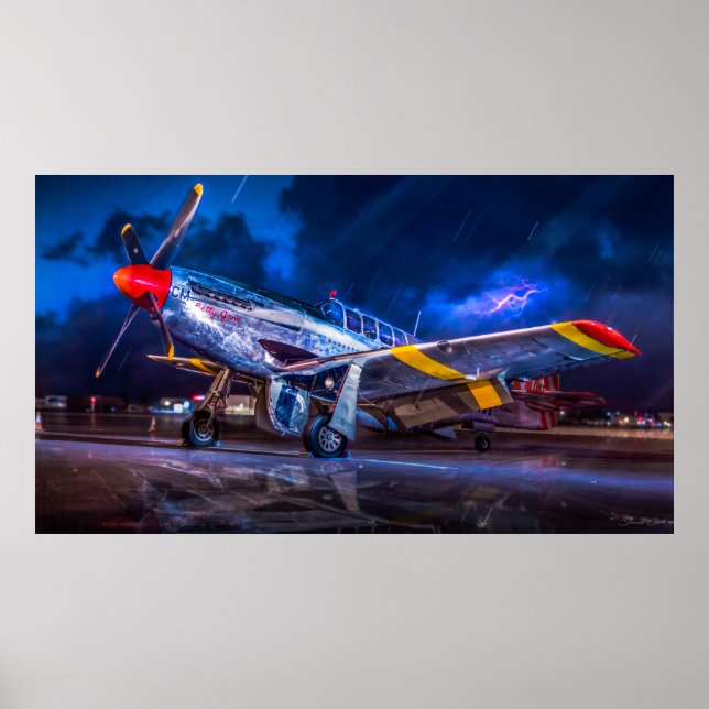Poster Mustang dans l'obscurité (Devant)