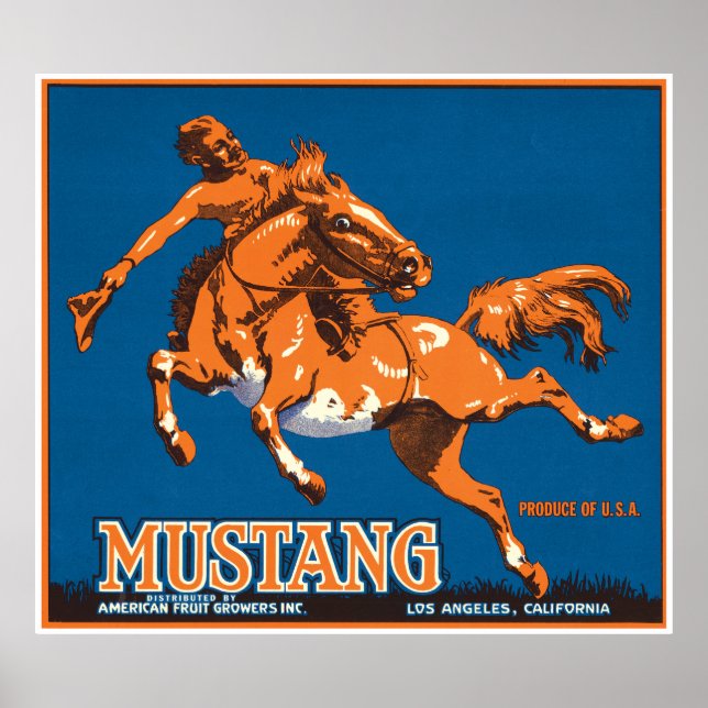 Poster Mustang Horse Cowboy Los Angeles Californie USA (Devant)