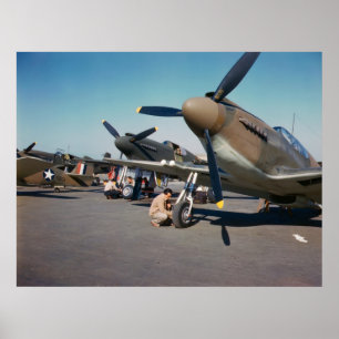 Poster Mustangs P-51
