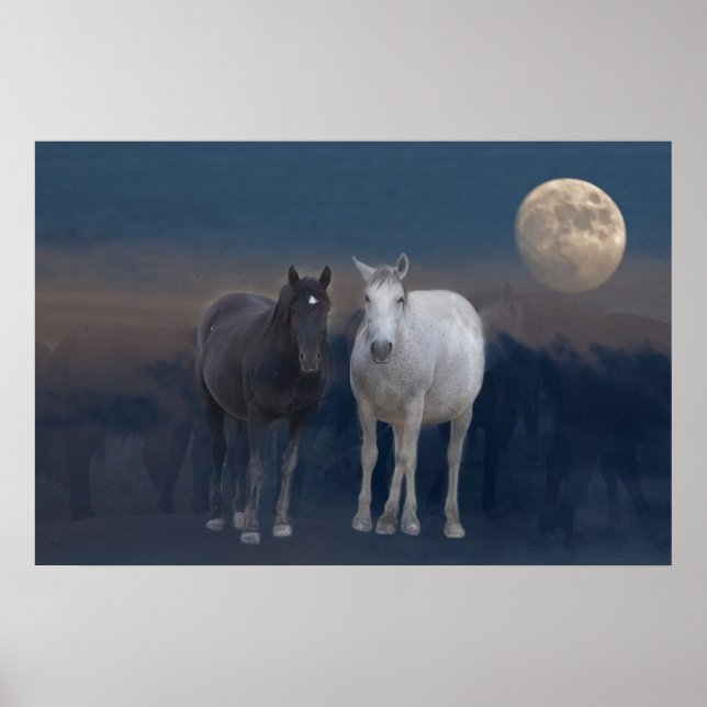 Poster Mustangs sauvages de la nuit (Devant)