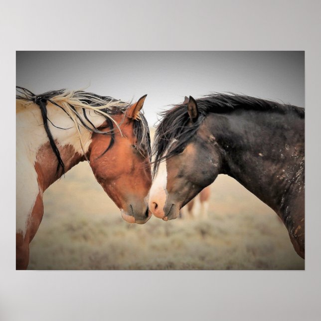 Poster Mustangs sauvages de l'Occident (Devant)