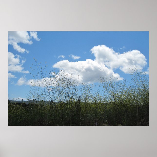 Poster: Mustard in the Clouds Poster (Front)