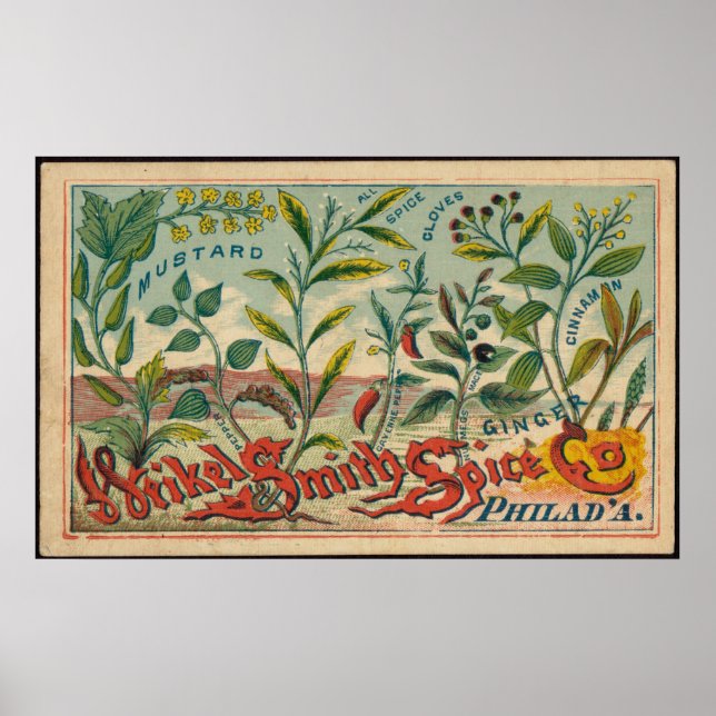 Poster Mustard, Vêtements, Épices de cannelle Publicité (Devant)