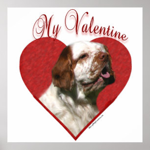 Poster My Clumber Spaniel Valentine